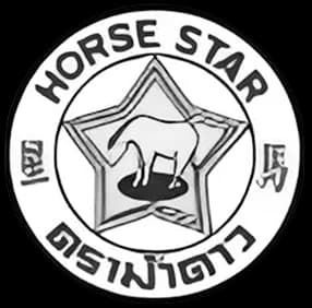 HORSE STAR